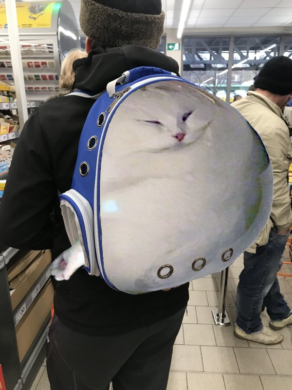 Смешные рюкзаки