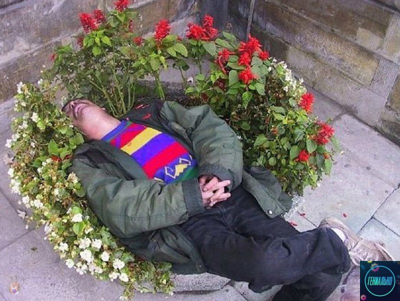 Алкаш с цветами