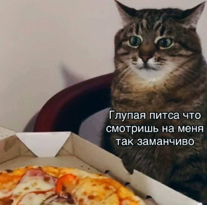 Глупая питса