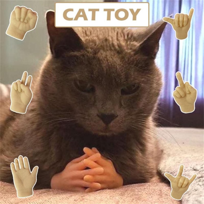 Кот на руках