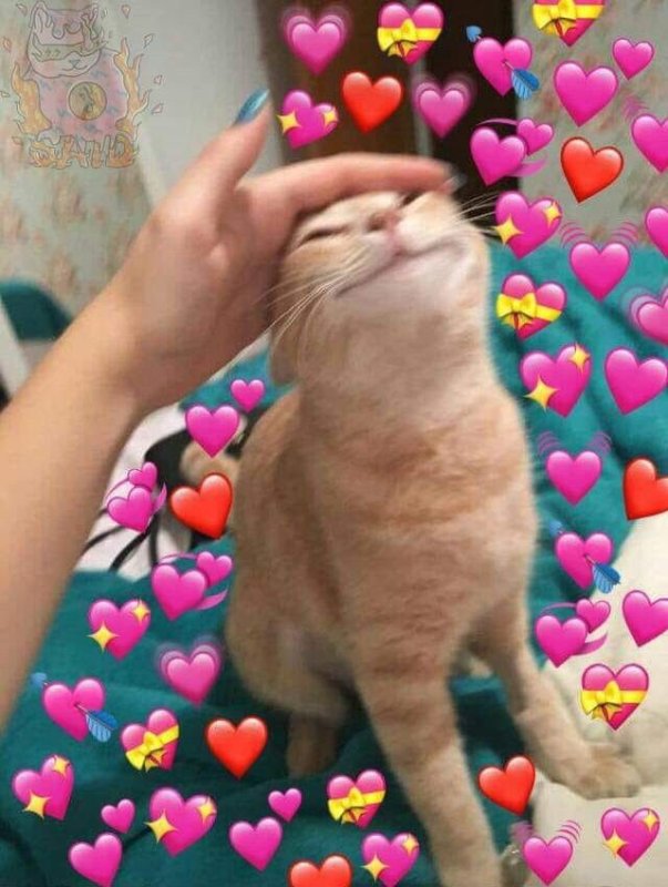 Котик с сердечком