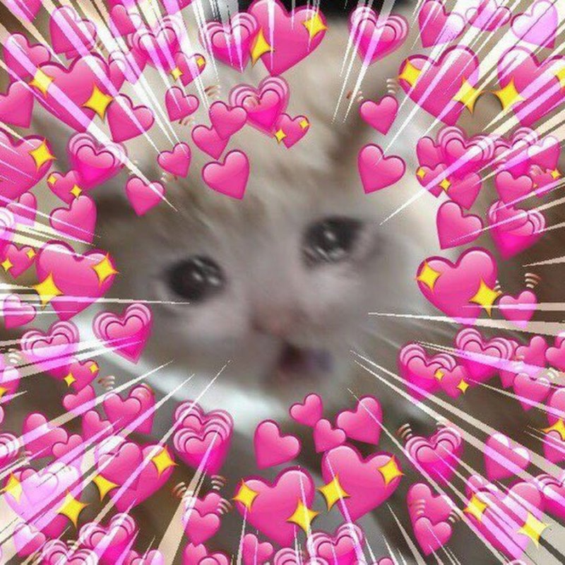 Плачущий котик с сердечками