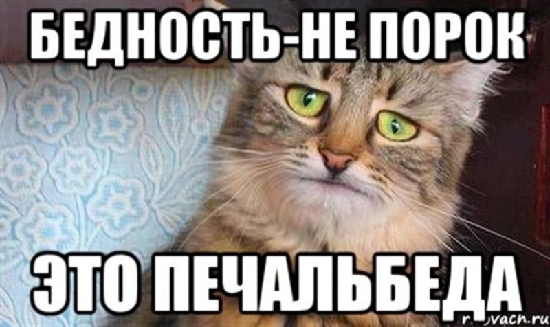Бедность Мем
