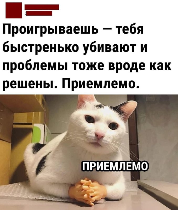 Приемлемо кот оригинал