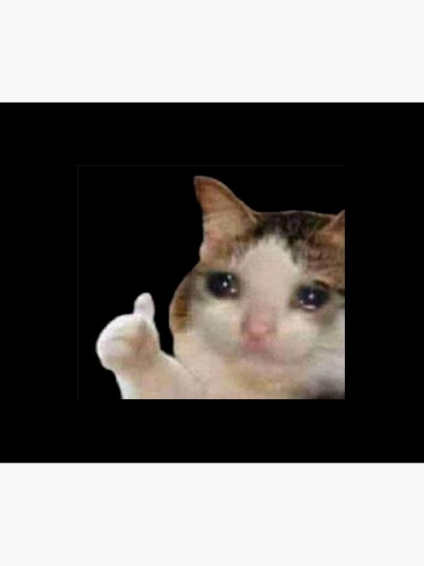 Плачущий кот с пальцем вверх