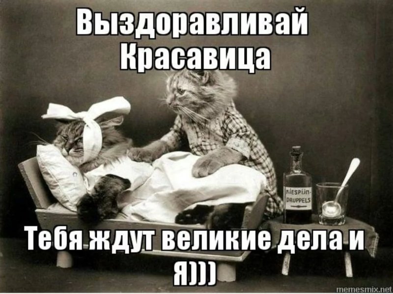 Смешная открытка больному