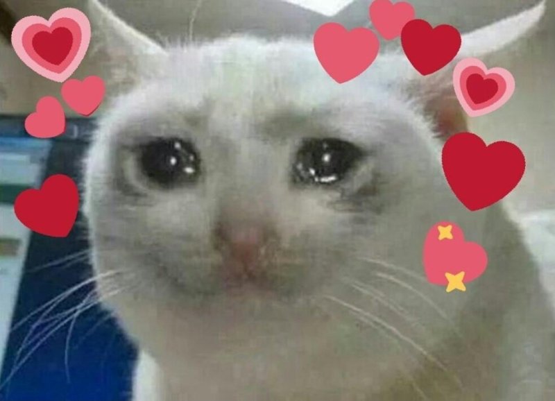 Котик с сердечком