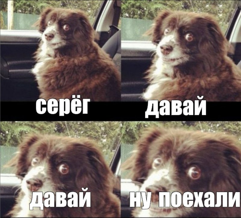 Мемы поехали