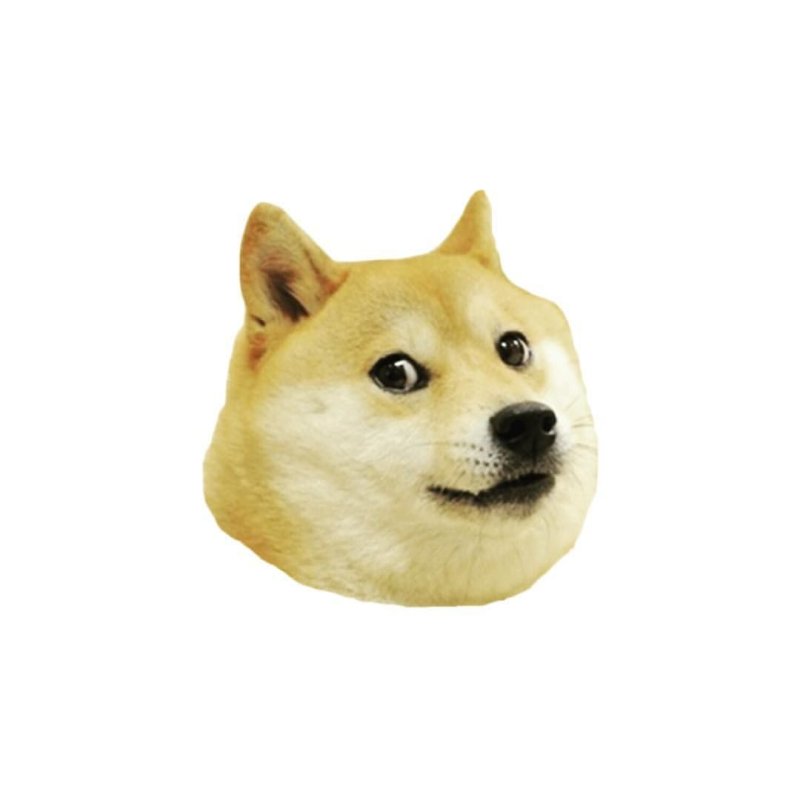 Сиба ину доги