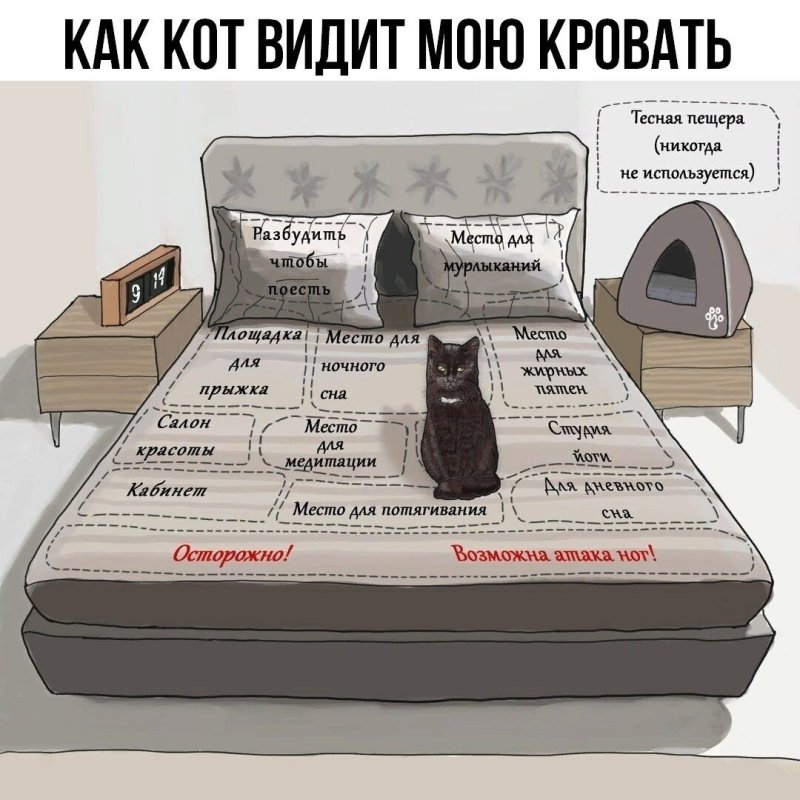 Кровать юмор