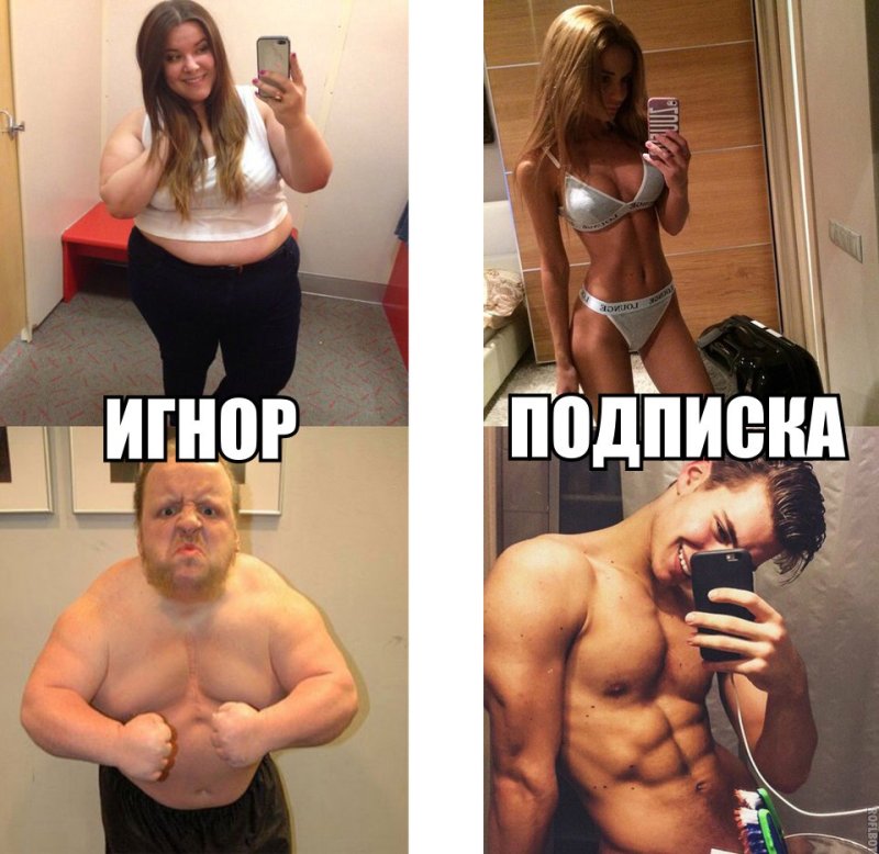 Игнор картинки прикольные