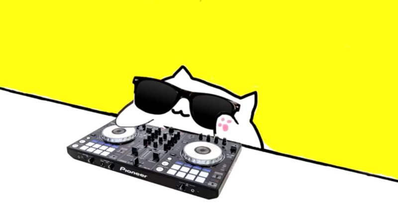 Кот за пультом диджея