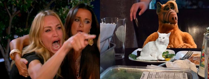 Девки орут на кота