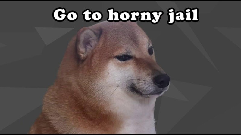 Мем с собакой нот Хорни