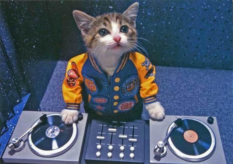 Всемирный день диджея