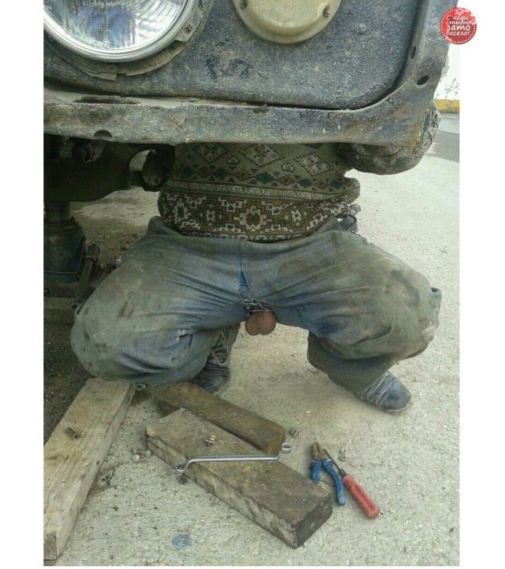 Штаны прикол