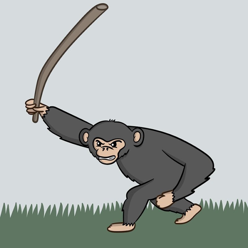 Шимпанзе с палочкой