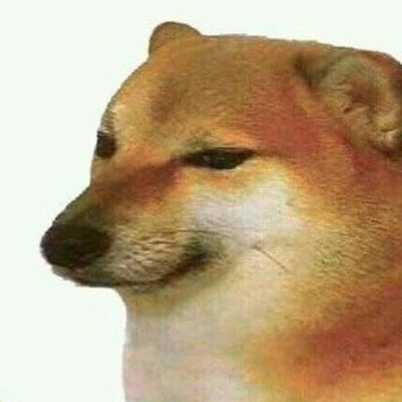 Сиба ину Мем