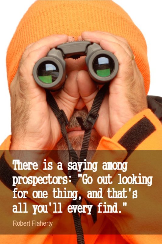 Наблюдение в бинокль