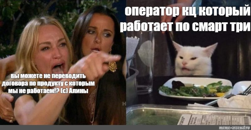 Девушки орут на кота