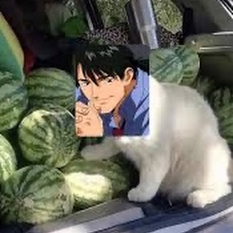 Редзи Кадзи