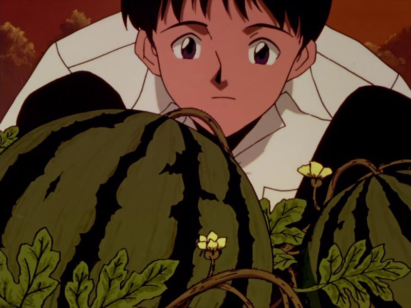 Кадзи Евангелион арбузы