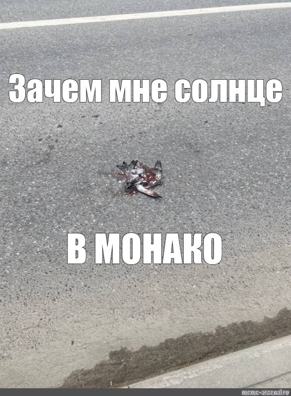 Зачем мне солнце Монако