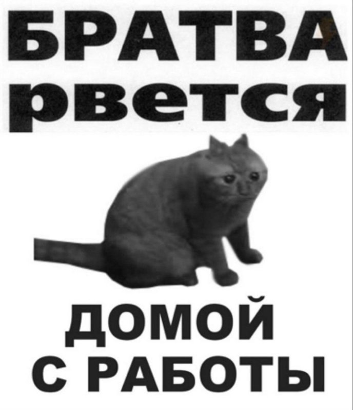 Братва рвется на работу