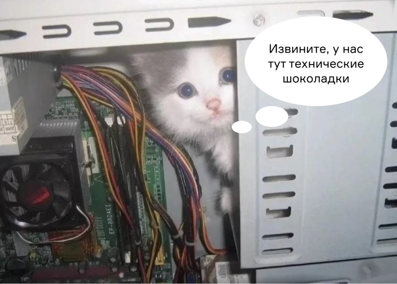 Котики в системном блоке