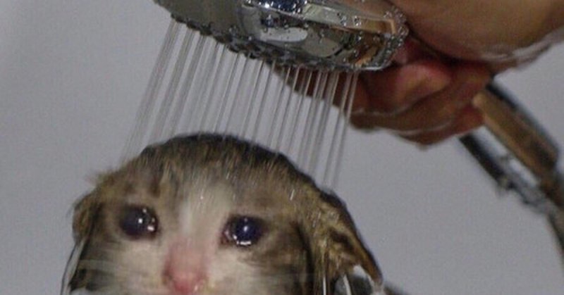 Кот плачет мес