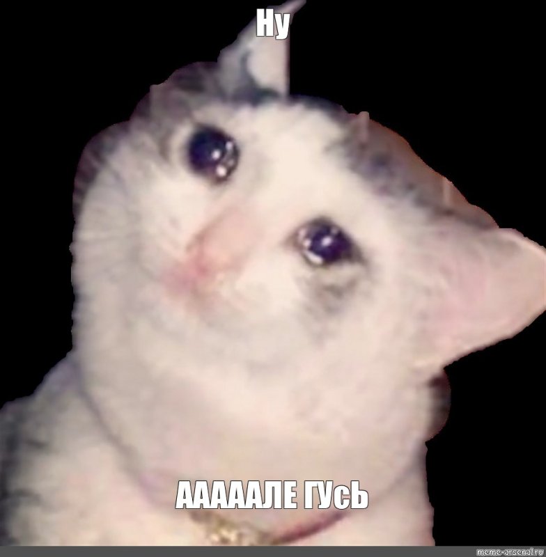 Котик плачет Мем