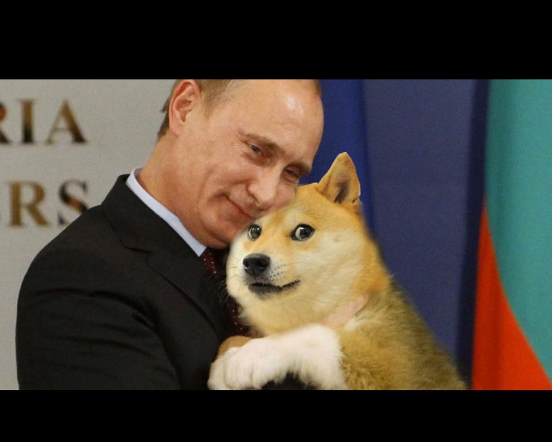 Сиба-ину Dogecoin