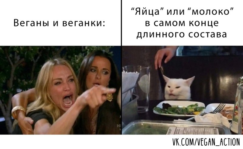 Мем с котом и двумя женщинами