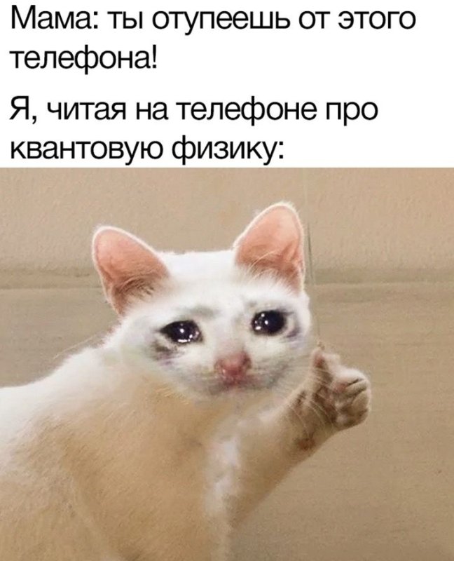 Плачущий кот