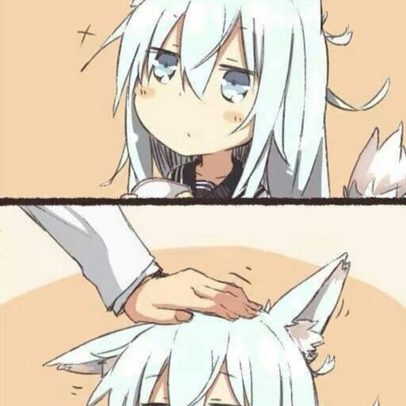 Неко тян гладят