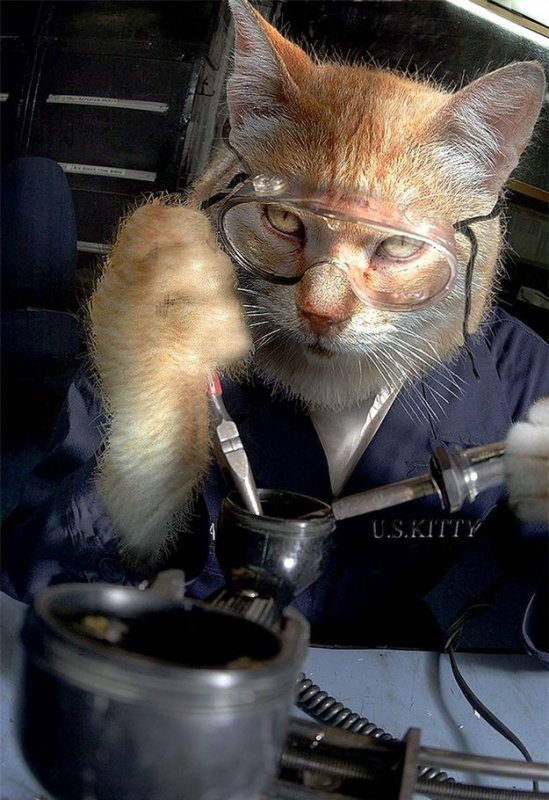 Котик с паяльником