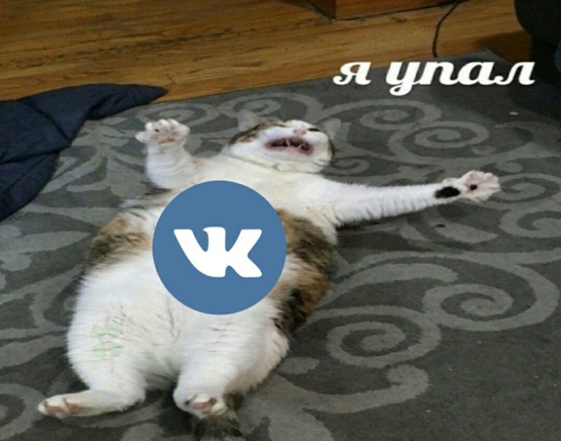 Я упааал Мем