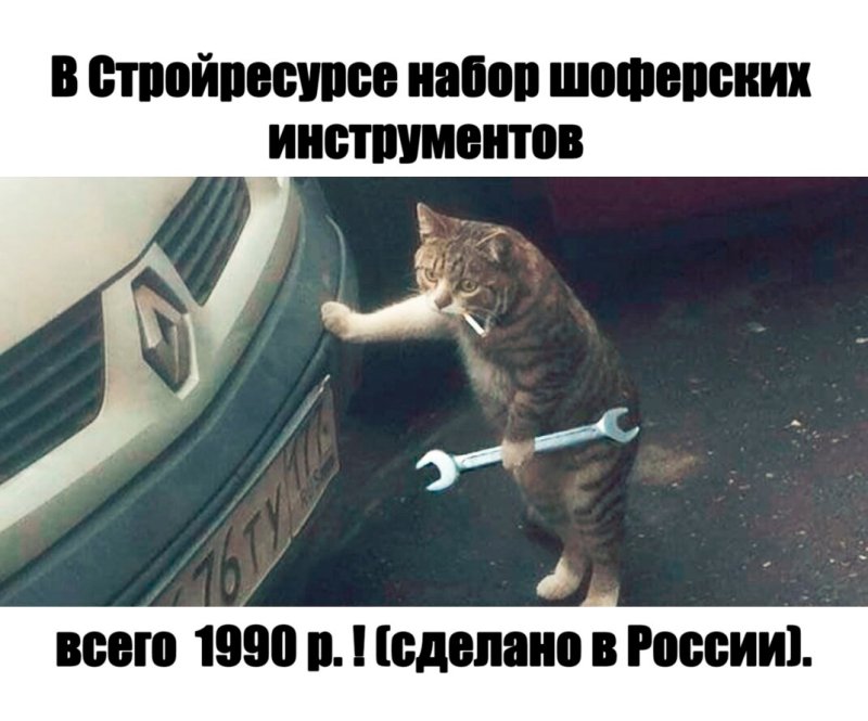 Кот ремонтирует машину