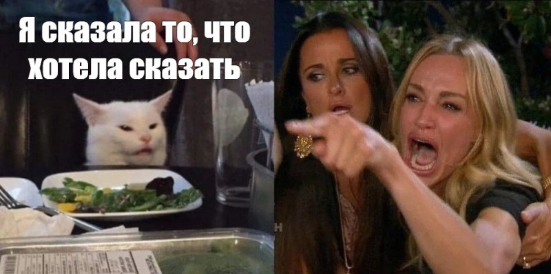 Мем с котом и девушками за столом