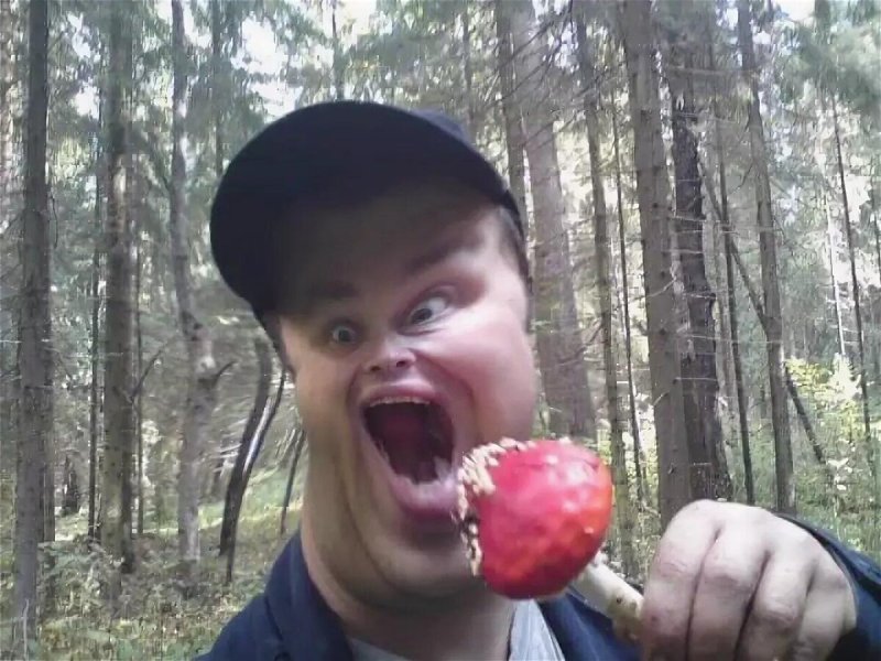 Святослав грибоёб