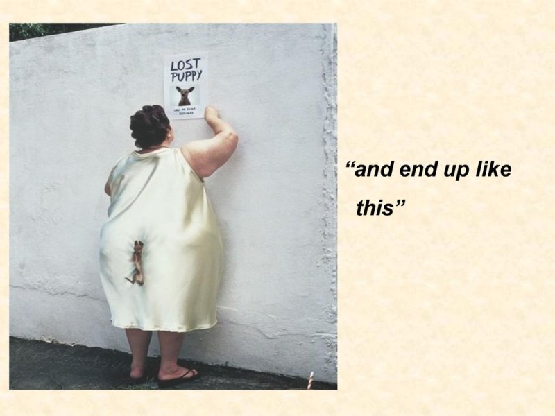 Потерялась собака прикол