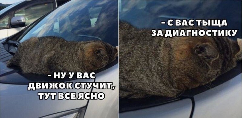 Приколы про машины