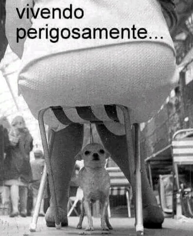 Демотиватор гиф