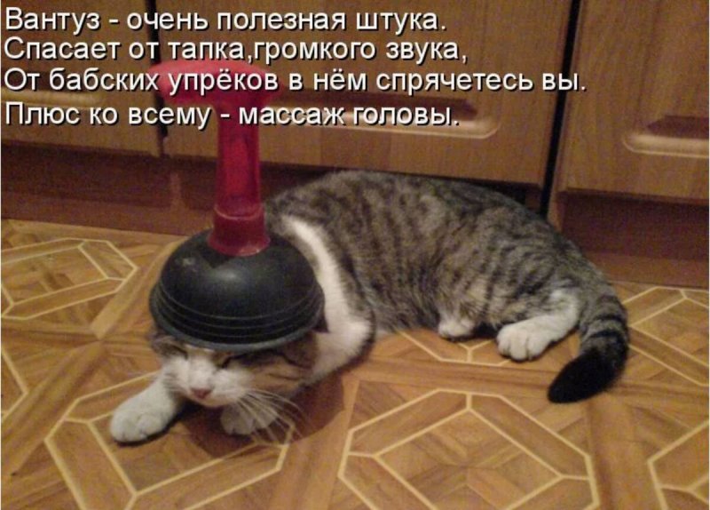 Смешной вантуз