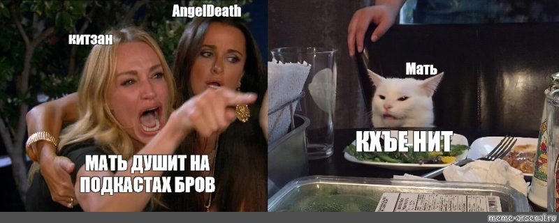 Девушки орут на кота