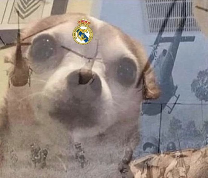 Вьетнамские флешбеки Мем с собакой