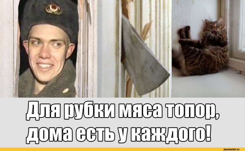 Военный спасает кота с дерева