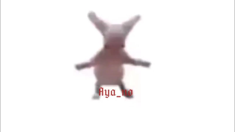 Котик танцует под ФОНК