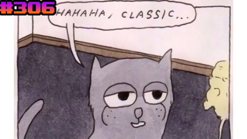 Классика Мем кот