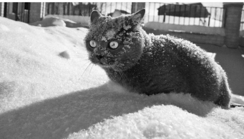 Cocaine so much cocaine